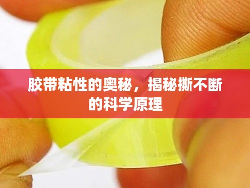 胶带粘性的奥秘，揭秘撕不断的科学原理