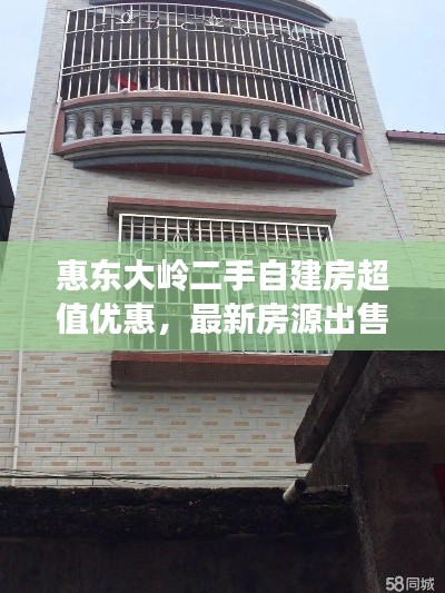 惠东大岭二手自建房超值优惠，最新房源出售信息！