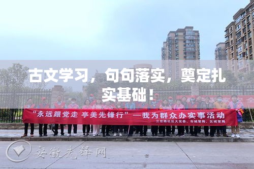 古文学习，句句落实，奠定扎实基础！