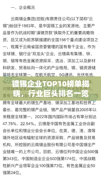 镀锡企业TOP10榜单揭晓，行业巨头排名一览