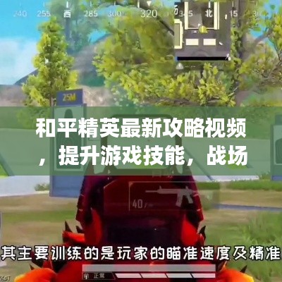 和平精英最新攻略视频，提升游戏技能，战场精英速成秘籍