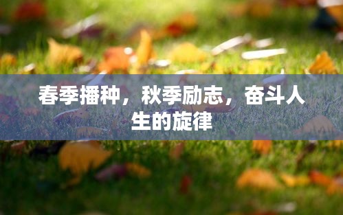 春季播种，秋季励志，奋斗人生的旋律