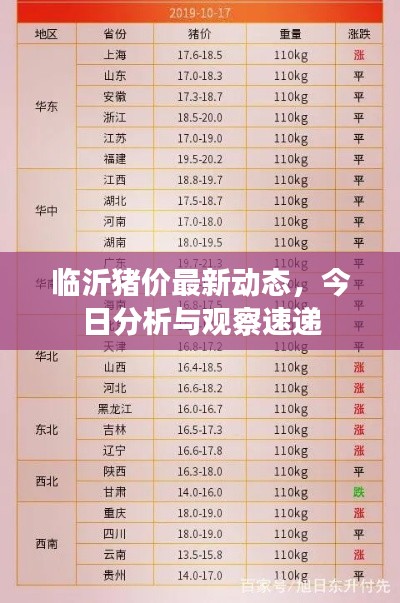 临沂猪价最新动态，今日分析与观察速递