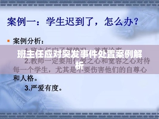 班主任应对突发事件处置案例解析