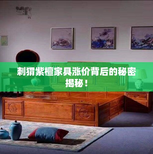 2025年5月13日