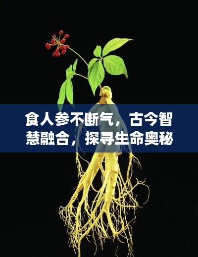 食人参不断气，古今智慧融合，探寻生命奥秘