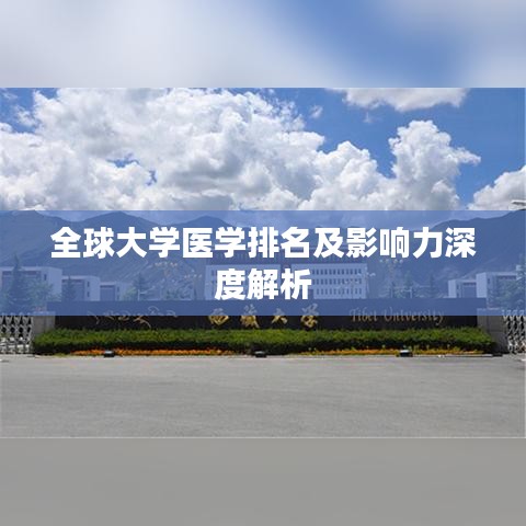 全球大学医学排名及影响力深度解析