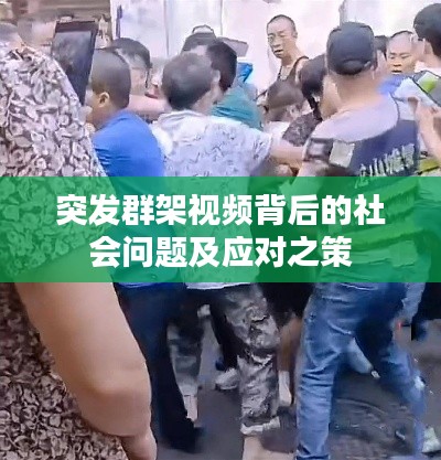 突发群架视频背后的社会问题及应对之策