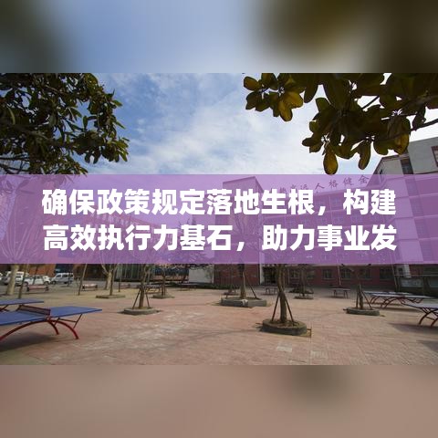 确保政策规定落地生根，构建高效执行力基石，助力事业发展！