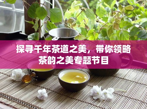 探寻千年茶道之美，带你领略茶韵之美专题节目