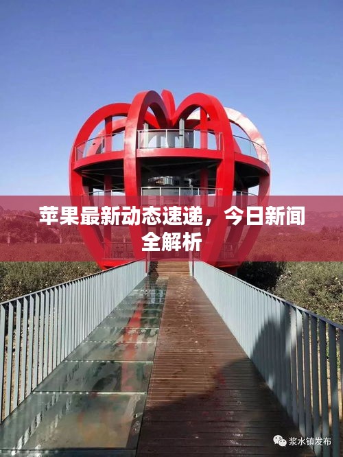 苹果最新动态速递，今日新闻全解析