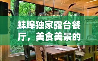 蚌埠独家露台餐厅，美食美景的双重盛宴