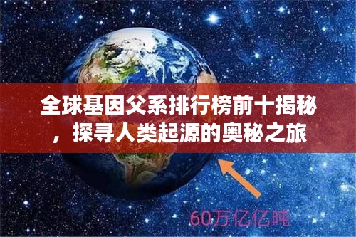 全球基因父系排行榜前十揭秘，探寻人类起源的奥秘之旅