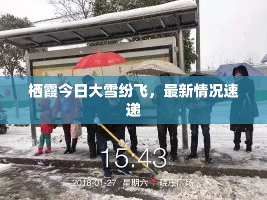 栖霞今日大雪纷飞，最新情况速递