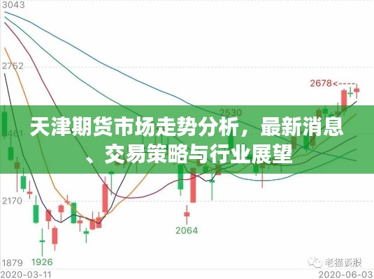 天津期货市场走势分析，最新消息、交易策略与行业展望