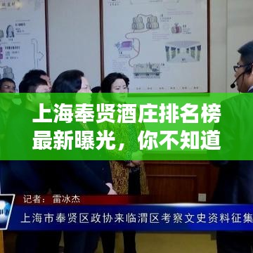 上海奉贤酒庄排名榜最新曝光，你不知道的顶级酒庄榜单！