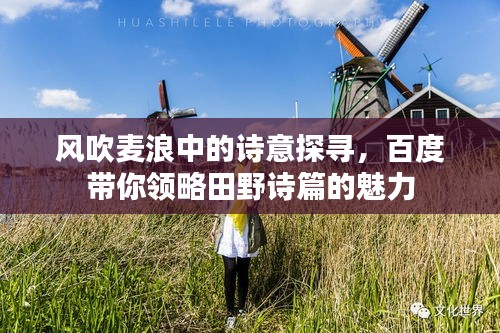风吹麦浪中的诗意探寻，百度带你领略田野诗篇的魅力