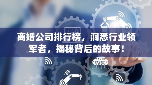 离婚公司排行榜，洞悉行业领军者，揭秘背后的故事！