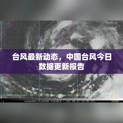 台风最新动态，中国台风今日数据更新报告