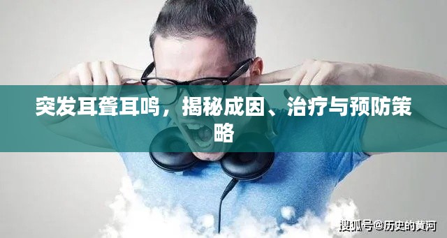 突发耳聋耳鸣，揭秘成因、治疗与预防策略