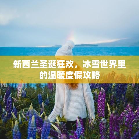 新西兰圣诞狂欢，冰雪世界里的温暖度假攻略