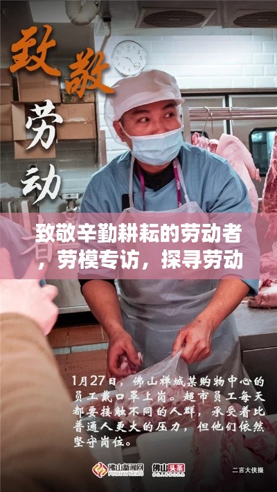 致敬辛勤耕耘的劳动者，劳模专访，探寻劳动之美