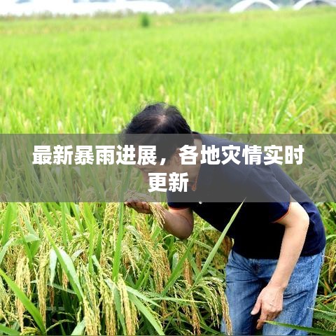 最新暴雨进展，各地灾情实时更新