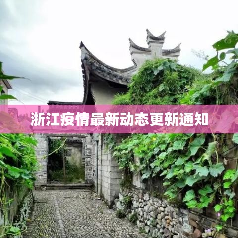 浙江疫情最新动态更新通知