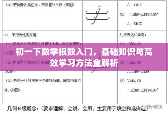 初一下数学根数入门，基础知识与高效学习方法全解析