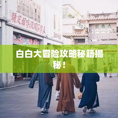 白白大冒险攻略秘籍揭秘！