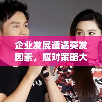 企业发展遭遇突发因素，应对策略大揭秘！
