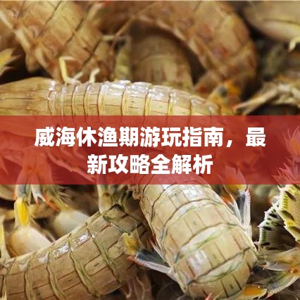 威海休渔期游玩指南，最新攻略全解析