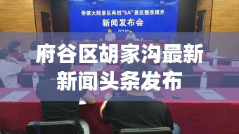 府谷区胡家沟最新新闻头条发布