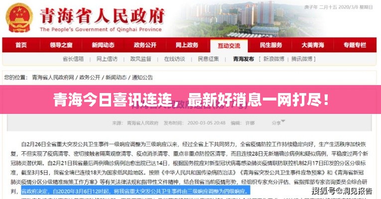 青海今日喜讯连连，最新好消息一网打尽！