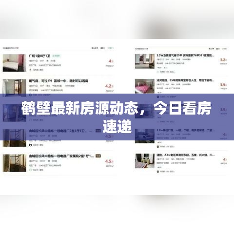 鹤壁最新房源动态，今日看房速递