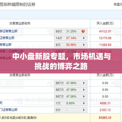 中小盘新股专题，市场机遇与挑战的博弈之路