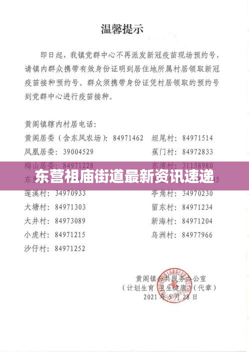 东营祖庙街道最新资讯速递