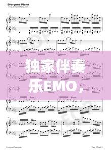 独家伴奏乐EMO，情感与音乐的完美交融之旅