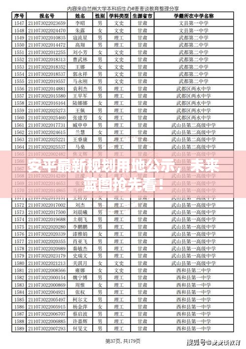 安平最新规划用地公示，未来蓝图抢先看！