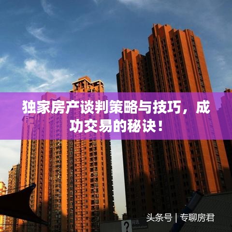 独家房产谈判策略与技巧，成功交易的秘诀！