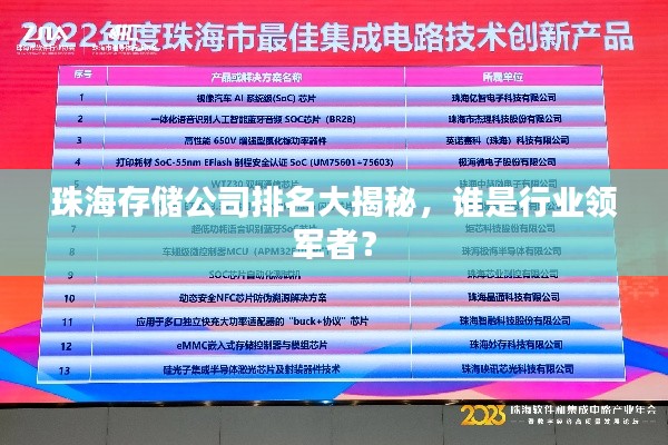 珠海存储公司排名大揭秘，谁是行业领军者？