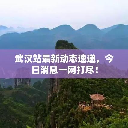 武汉站最新动态速递，今日消息一网打尽！