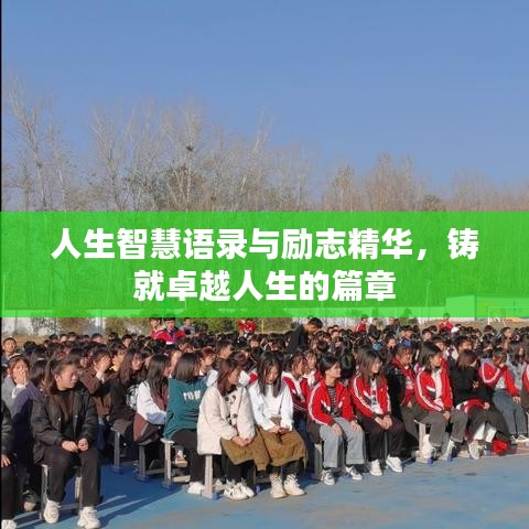人生智慧语录与励志精华，铸就卓越人生的篇章