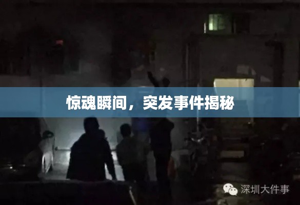 惊魂瞬间，突发事件揭秘