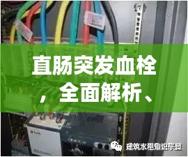 直肠突发血栓，全面解析、预防与治疗策略