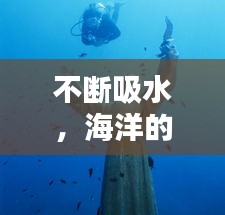 不断吸水，海洋的秘密与深远影响