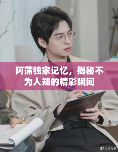 阿蒲独家记忆，揭秘不为人知的精彩瞬间
