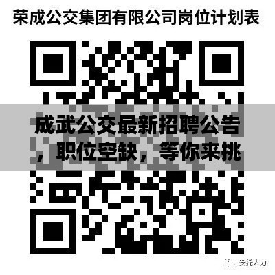 成武公交最新招聘公告，职位空缺，等你来挑战！