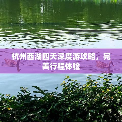 杭州西湖四天深度游攻略，完美行程体验