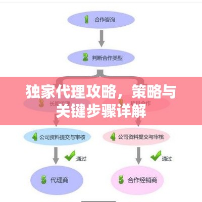 独家代理攻略，策略与关键步骤详解
